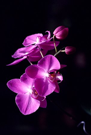 NATUREZA E FOTOGRAF&Iacute;A